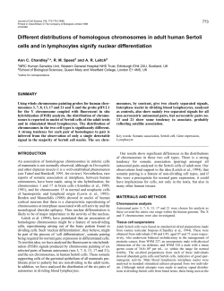 Different distributions of homologous chromosomes in adult human