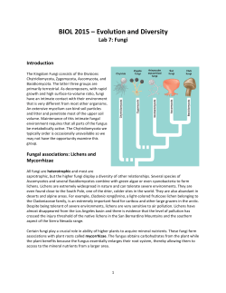 BIOL 2015 &ndash; Evolution and Diversity