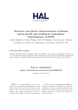 Structure and kinetic characterization of human sperm-specific