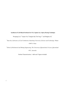 Template for Electronic Submission to ACS Journals