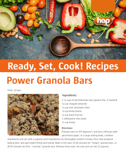 Power Granola Bars