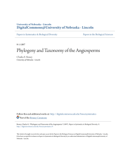 Phylogeny and Taxonomy of the Angiosperms