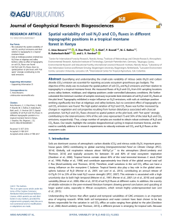 Spatial variability of soil N2O and CO2 fluxes in different topographic