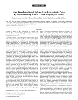 Long-Term Induction of Defense Gene Expression in Potato by