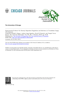 Experimental Evidence for Density-Dependent