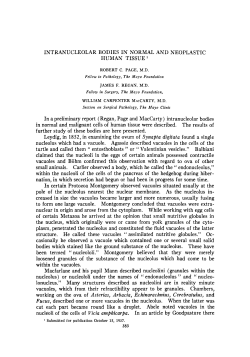 INTRANUCLEOLAR BODIES IN NORMAL AND NEOPLASTIC