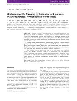 Sodiumspecific foraging by leafcutter ant workers (Atta cephalotes