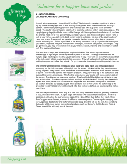 Stacey`s tips - Van Wilgen`s Garden Center