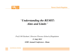 Understanding the REMIT: Aims and Limits
