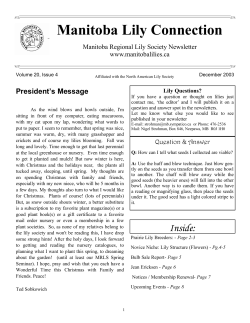 Manitoba Lily Connection - the Manitoba Regional Lily Society