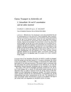Cation Transport in Escherichia coli