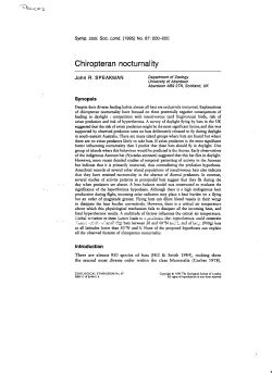 Chiropteran nocturnality