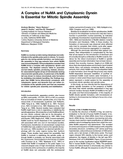 A Complex of NuMA and Cytoplasmic Dynein Is