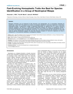 Fast-Evolving Homoplastic Traits Are Best for Species Identification
