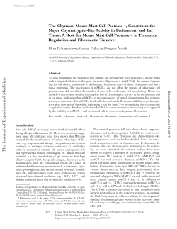 The Chymase, Mouse Mast Cell Protease 4, Constitutes the Major