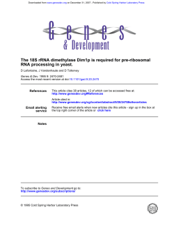 RNA processing in yeast. The 18S rRNA