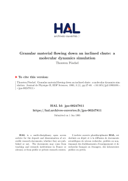 Granular material flowing down an inclined chute: a molecular