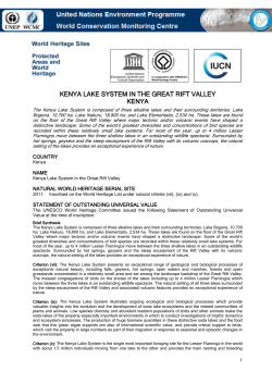 kenya lake system in the great rift valley kenya