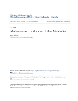Mechanisms of Translocation of Plant Metabolites