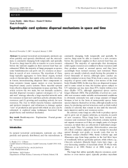 Saprotrophic cord systems: dispersal mechanisms in space and time
