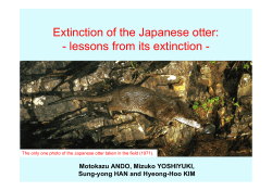 Extinction of the Japanese otter: - lessons from its extinction -