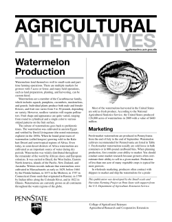 agricultural alternatives