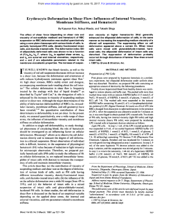 Erythrocyte Deformation in Shear Flow: Influences of Internal
