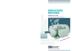 crompton AC Motors