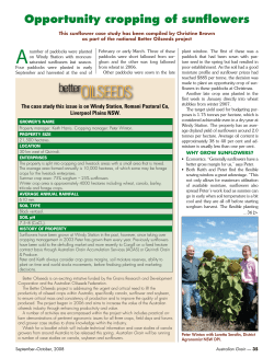 Opportunity cropping of sunflowers