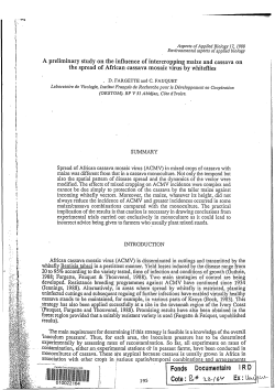 A preliminary study on the influence of intercropping maize and