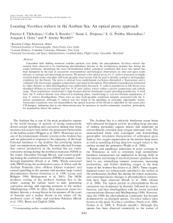 Locating Noctiluca miliaris in the Arabian Sea: An optical proxy