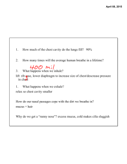 answers to breath of life, matching on diseases, questions on