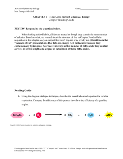 CHAPTER 6 &ndash; How Cells Harvest Chemical Energy - jj-sct
