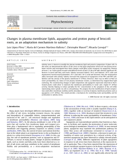 Changes in plasma membrane lipids, aquaporins and proton pump