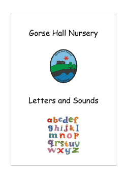 Letters and Sounds phase one booklet _new version