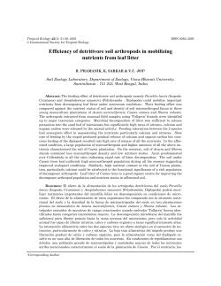 Efficiency of detritivore soil arthropods in mobilizing nutrients from