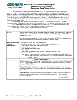 Rotator cuff repair - small/medium
