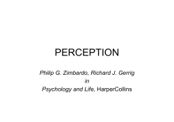 Perception - home page corsi