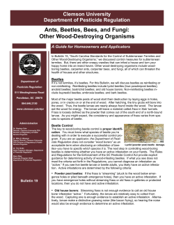Bulletin 19 - Clemson University