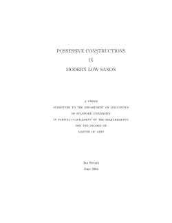 POSSESSIVE CONSTRUCTIONS IN MODERN LOW SAXON