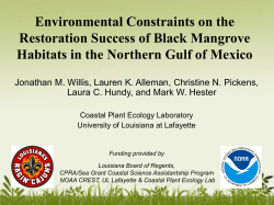 Environmental Constraints on the Restoration Success of Black