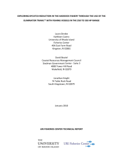 exploring bycatch reduction in the haddock fishery through