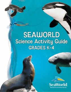 Science Activities | K-4