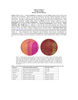 Enteric Unknowns Miramar College Biology 205 Microbiology