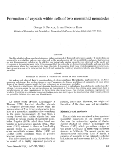 Formation of crystals within cells of two mermithid