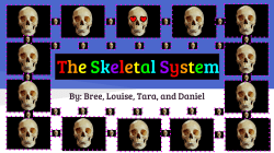 The Skeletal System