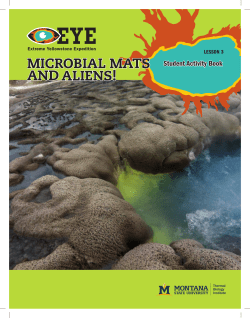 Student Material for Lesson 3 - Thermal Biology Institute