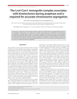 The Lrs4-Csm1 monopolin complex associates with kinetochores