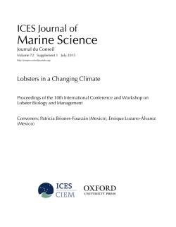 Lobsters: ocean icons in changing times