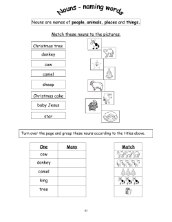 pgs 043-048 Nouns